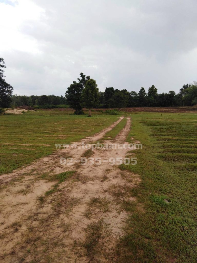 ขายที่ดินอำเภอเมืองตาก