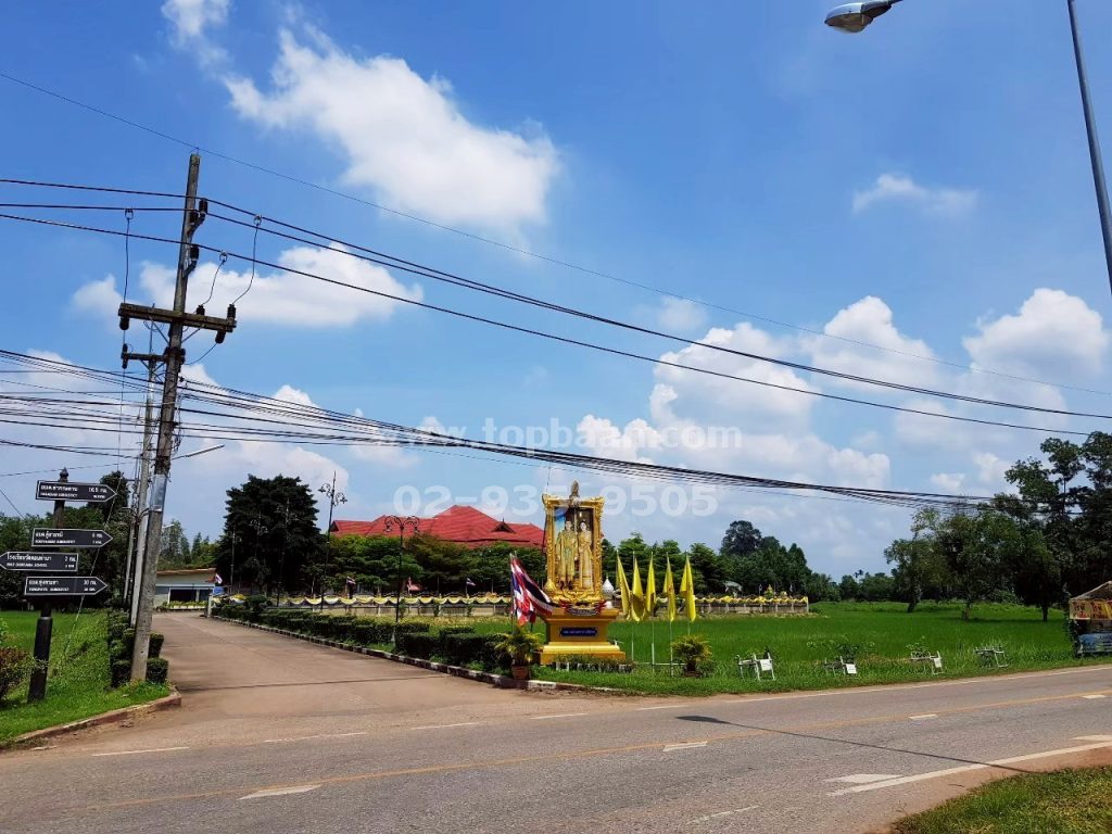 ขายที่ดินสนามชัยเขต