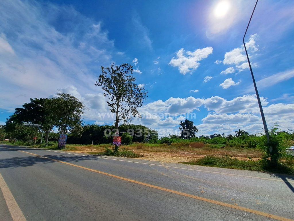 ขายที่ดินสนามชัยเขต