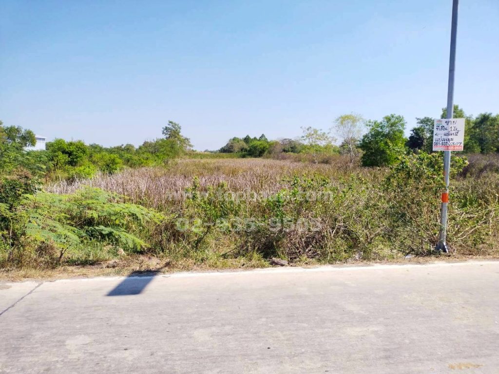 ที่ดินคลองหลวง