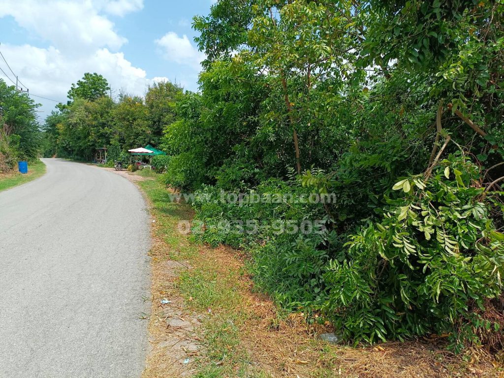 ที่ดินดอนตูม