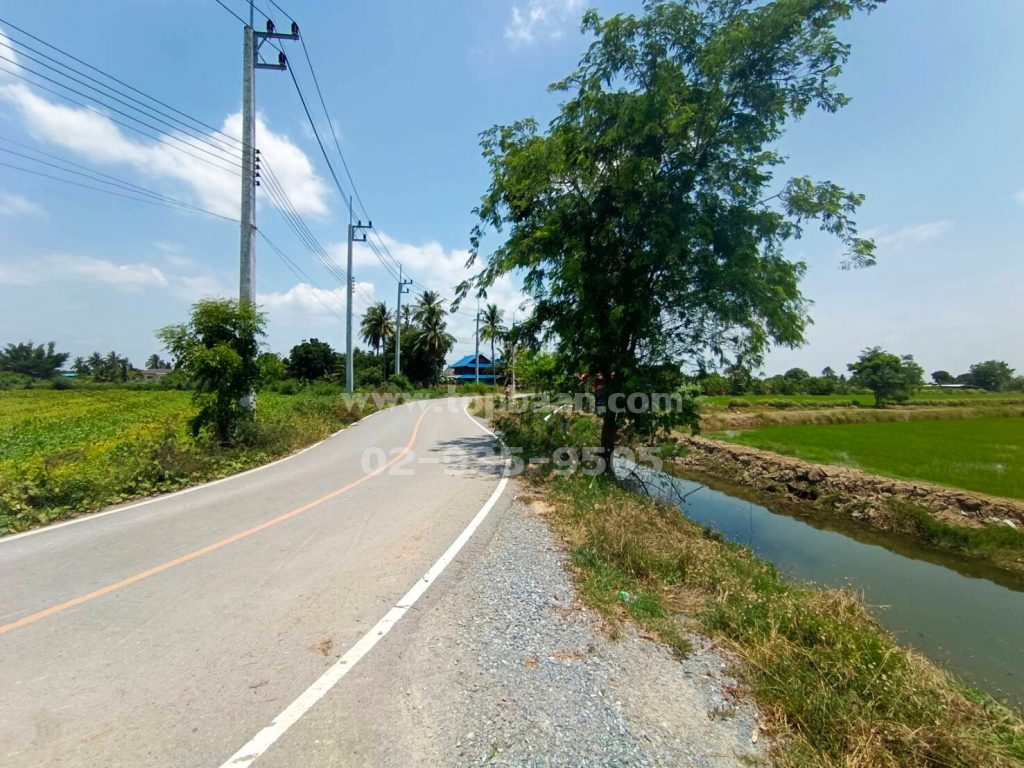 ที่ดินนครชัยศรี