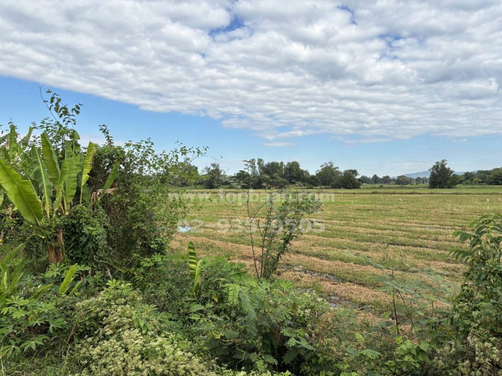 ขายที่ดินนครนายก