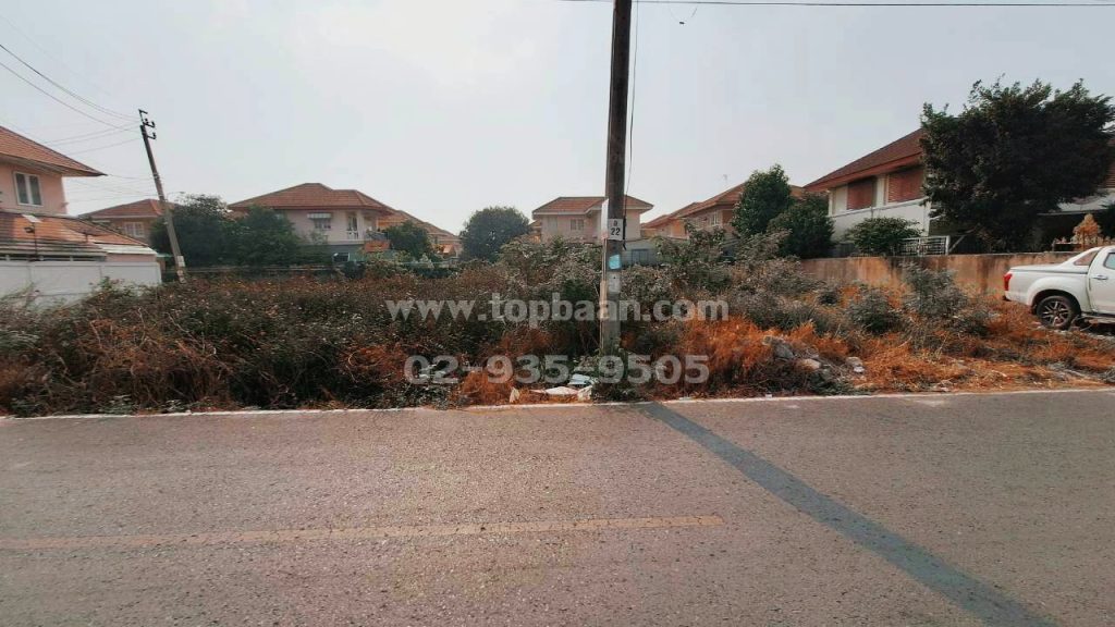 ที่ดินอำเภอบางบัวทอง