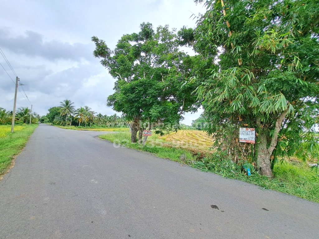 ขายที่ดินบางน้ำเปรี้ยว