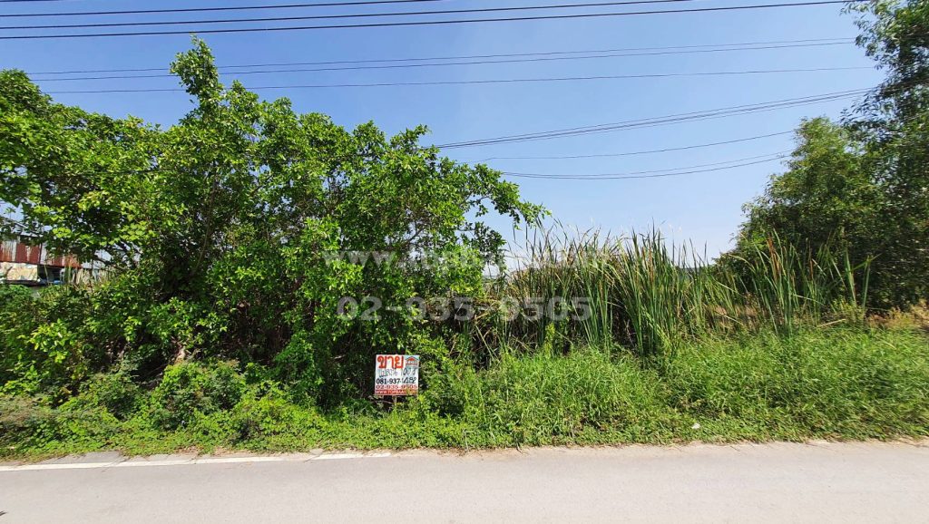 ขายที่ดินซอยร่วมสุข