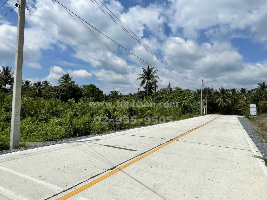 ที่ดินสามพราน