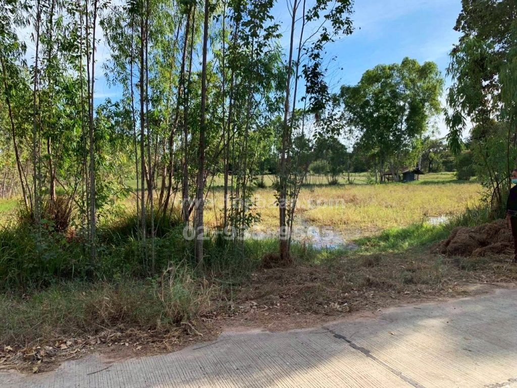 ที่ดินพิมาย