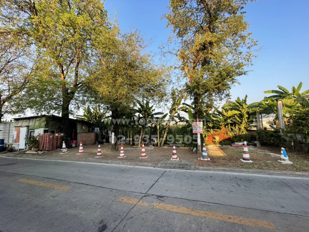 ที่ดินบางแค
